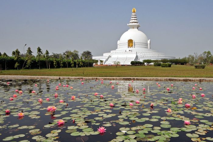 बुद्ध जन्मस्थलमा आउने पाहुना चराहरूको स्वागत गर्ने उद्देश्यले लुम्बिनीमा आज पक्षी महोत्सव