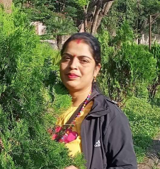 कविता : लुट राष्ट्र लुट