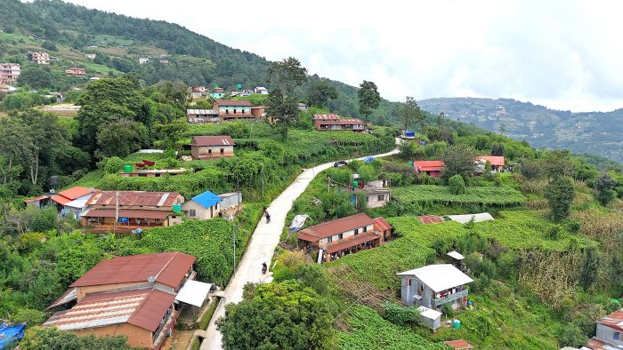 स्कुस खेतीतर्फ किसानको आकर्षण बढ्दो