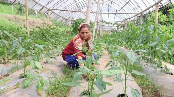 ‘स्वदेशमै स्रोत र सीपलाई सदुपयोग गर्न सके यही काम गर्न र कमाउन सकिन्छ’