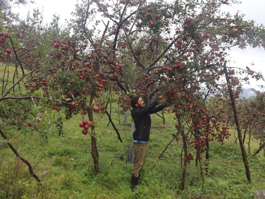 बाजुराको माटोमा :उज्ज्वलको ‘सपना’