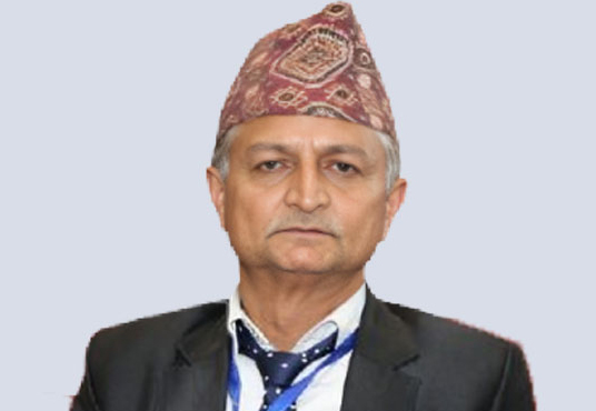 पत्रकार पक्राउले पञ्चायती शासनको झल्को दिएको बार अध्यक्ष मिश्रको टिप्पणी