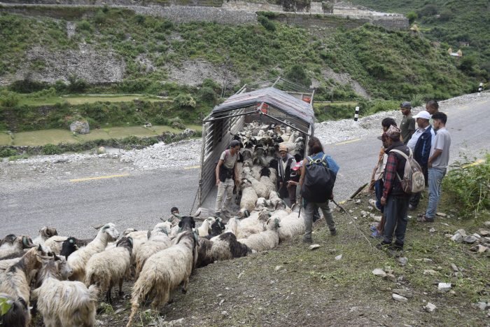 परिवारलाई सम्झनुपर्छ र बाटो लाग्नुपर्छ”,सहरको स्वादका लागि छुट्छ हिमालको दसैँ–तिहार